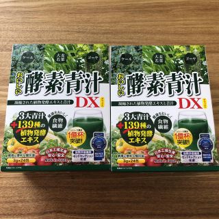 おいしい酵素青汁DX 3g×48包(青汁/ケール加工食品)