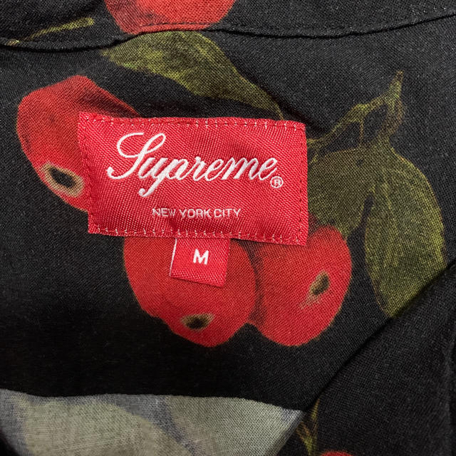 19SS Supreme Cherry Rayon S/S Shirt