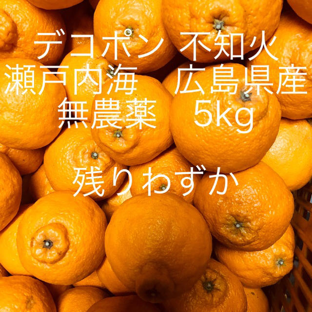 広島県産　デコポン  不知火　無農薬　5kg 食品/飲料/酒の食品(フルーツ)の商品写真