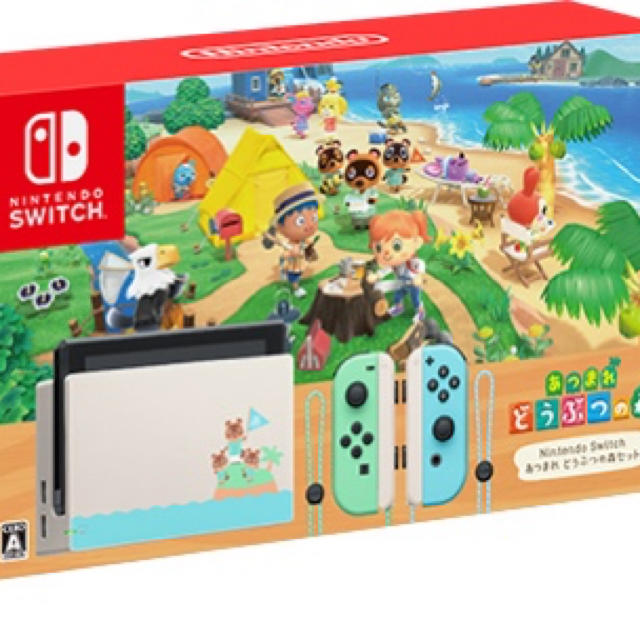 Nintendo Switch - あつまれどうぶつの森　本体セット