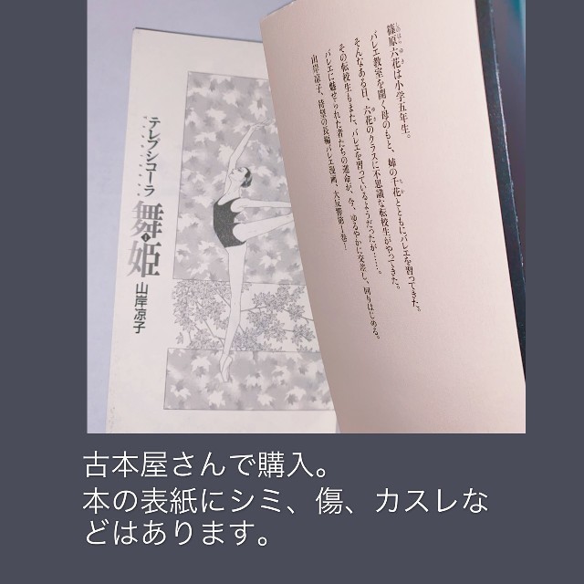 集英社(シュウエイシャ)の古本【お好きな2冊】送料込❣️ エンタメ/ホビーの本(アート/エンタメ)の商品写真