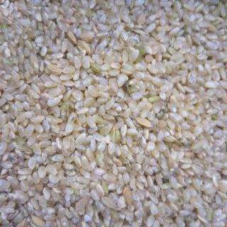 訳あり玄米　30kg　(米/穀物)