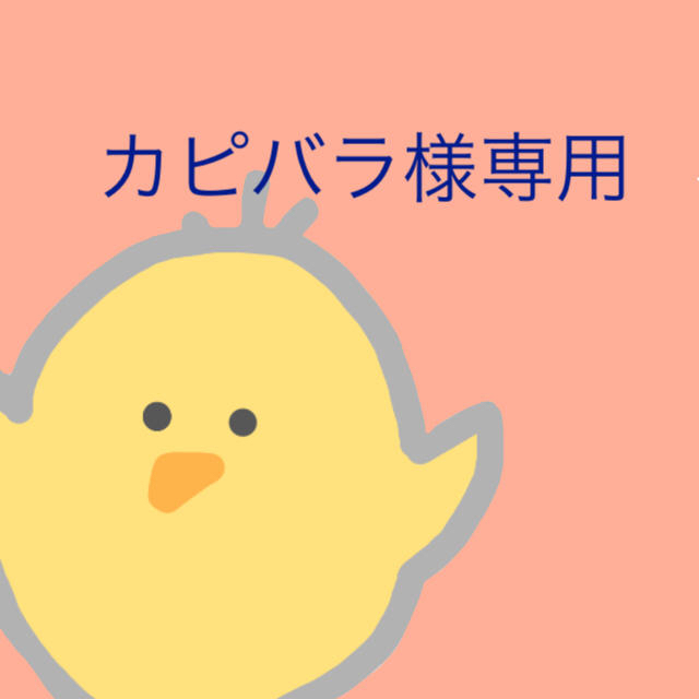 カピバラ様専用 - invisalignswiss.com