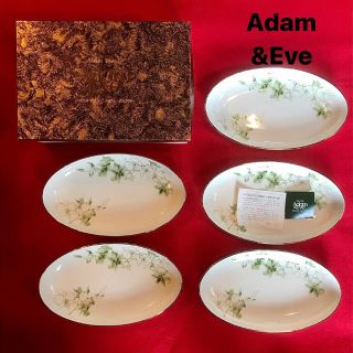 タチキチ(たち吉)のadam&eve カレー皿 パスタ皿 たち吉 5枚セット オーバル 花柄(食器)