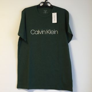 カルバンクライン(Calvin Klein)の新品未使用　カルバンクライン　CALVIN KLEIN Tシャツ　緑　Mサイズ(Tシャツ/カットソー(半袖/袖なし))