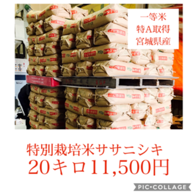 グッズ】 おこめ様専用ページの通販 by なつき's shop|ラクマ