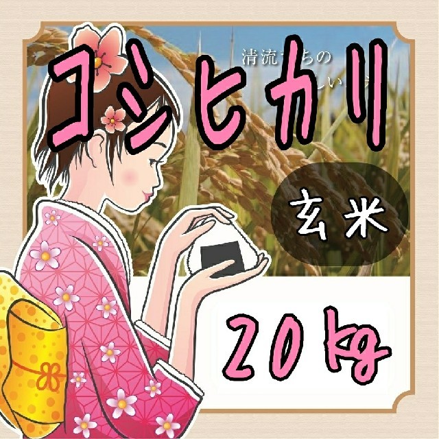 Ｒ元年産岐阜県東白川産コシヒカリ玄米20㎏　【精米無料】【全国送料無料】食品