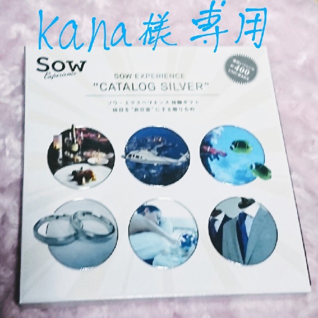 日本初売 SOW Experience チケット | bca.edu.gr