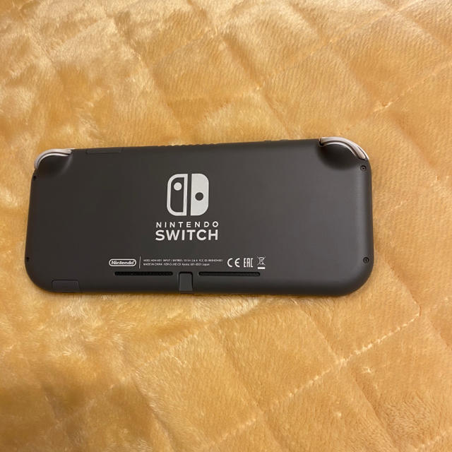 Nintendo Switch Lite カセット付き