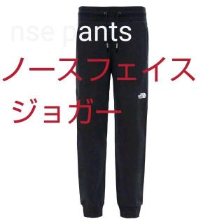 ザノースフェイス(THE NORTH FACE)のThe North Face Nse Light Pants Regular(その他)