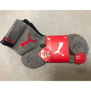 プーマ(PUMA)のプーマ　ソックス　３足セット　19-21cm(靴下/タイツ)