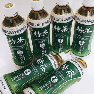 値下げ 訳あり特価　サントリー 特茶 500ml（特保）2箱（計48本）(茶)