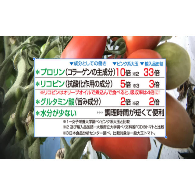 Pomodoro (サンマルツァーノリゼルバ)　1.6kg 食品/飲料/酒の食品(野菜)の商品写真