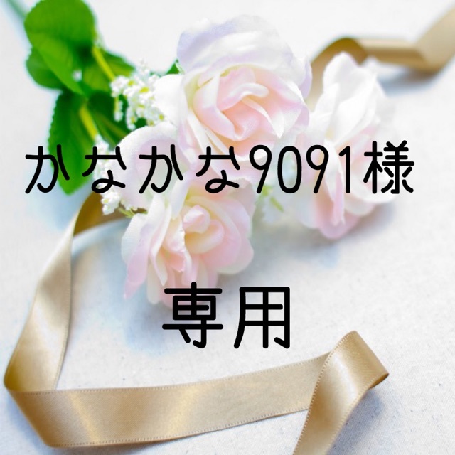 かなかな9091様専用 お米 令和元年 愛媛県産コシヒカリ 白米 30㎏
