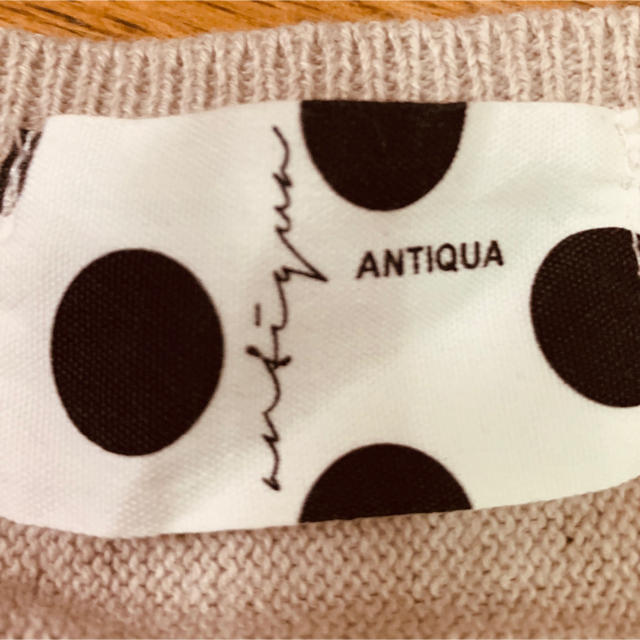 antiqua(アンティカ)のニット　春　大きいサイズ レディースのトップス(ニット/セーター)の商品写真