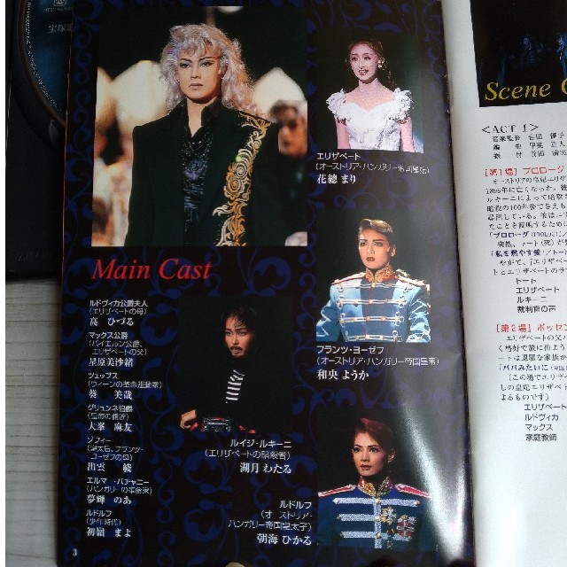 エリザベート〜愛と死の輪舞 宝塚宙組 姿月あさと、花總まり DVD美品 エリザベート〜愛と死の輪舞 宝塚宙組 姿月あさと、花總まり DVD美品