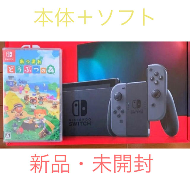 NintendoSwitch ニンテンドースイッチ 本体 グレー どうぶつの森