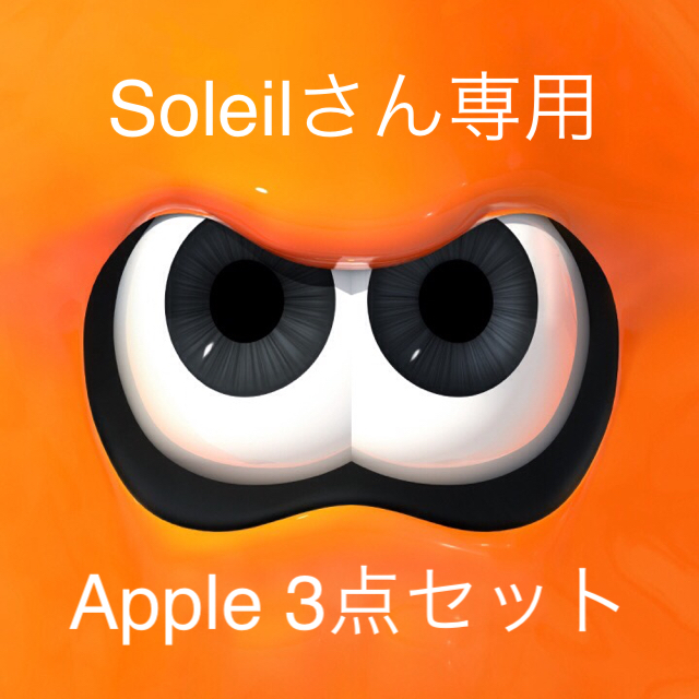 （Soleil）専用3世代iPadPro256GB カバー アップルペン セット