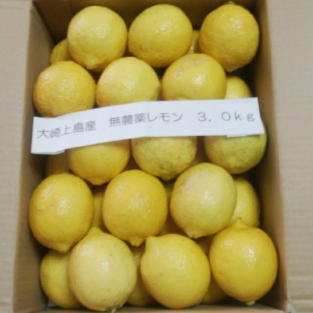 広島県大崎上島産無農薬レモン　8.0kg 購入申請あり　わかちゃんさん優先