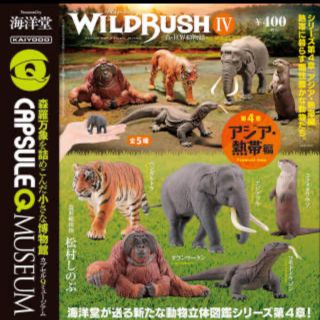 カイヨウドウ(海洋堂)の海洋堂　WILD RUSH Ⅳ 熱帯編カワウソ　ガチャガチャ(その他)