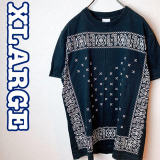 エクストララージ(XLARGE)の古着　XLARGE エクストララージ　ペイズリー柄　ワンポイント　ロゴ(Tシャツ/カットソー(半袖/袖なし))