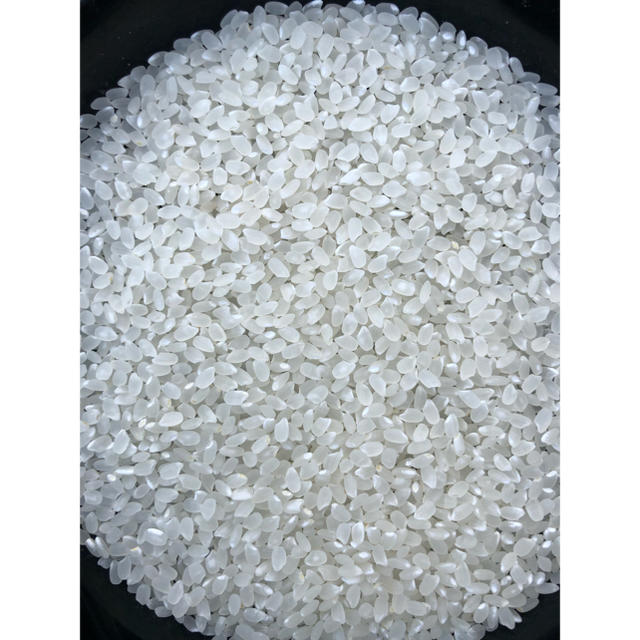 栃木県産農家直送新米コシヒカリ10kg 2