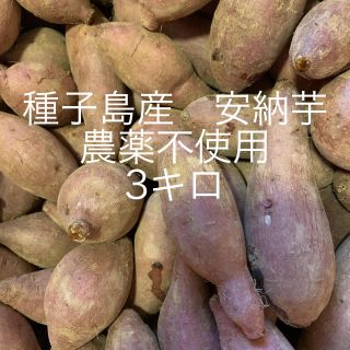 農薬不使用です　種子島安納芋　3キロ(野菜)