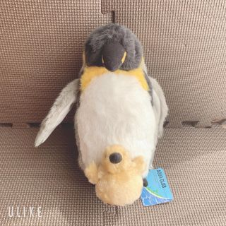 ペンギン　ぬいぐるみ(ぬいぐるみ)