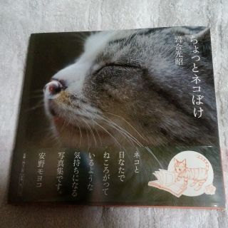 ショウガクカン(小学館)のちょっとネコぼけ(趣味/スポーツ/実用)