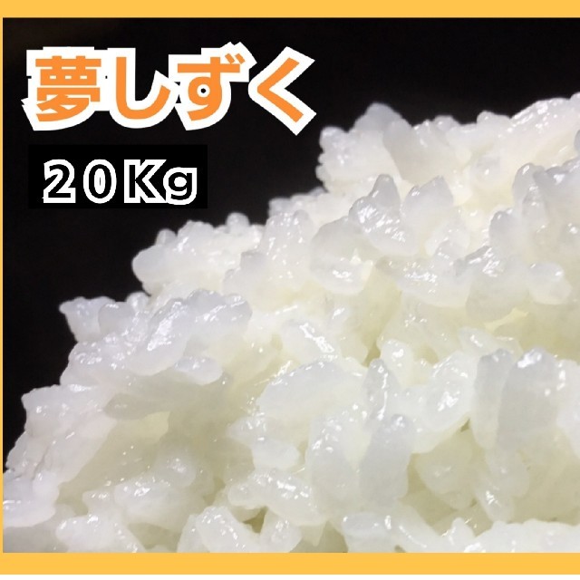 佐賀県産　白米２０Kg　夢しずく　米/穀物