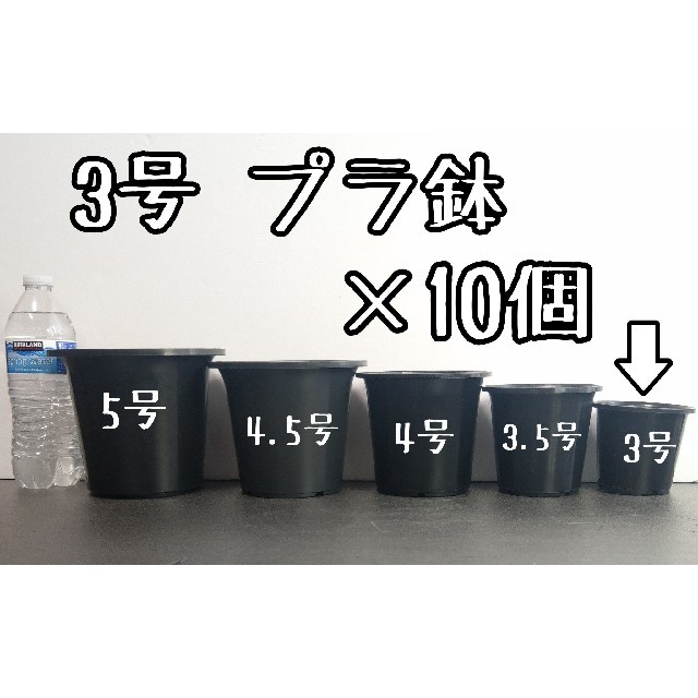 ◎10個◎ 丸鉢 3号 / 3寸 / 9cm プラ鉢 黒 ブラック ハンドメイドのフラワー/ガーデン(その他)の商品写真