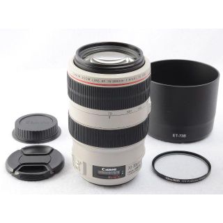 キヤノン(Canon)の【テレタビーズ様専用】EF70-300mm F4-5.6L IS USM(レンズ(ズーム))