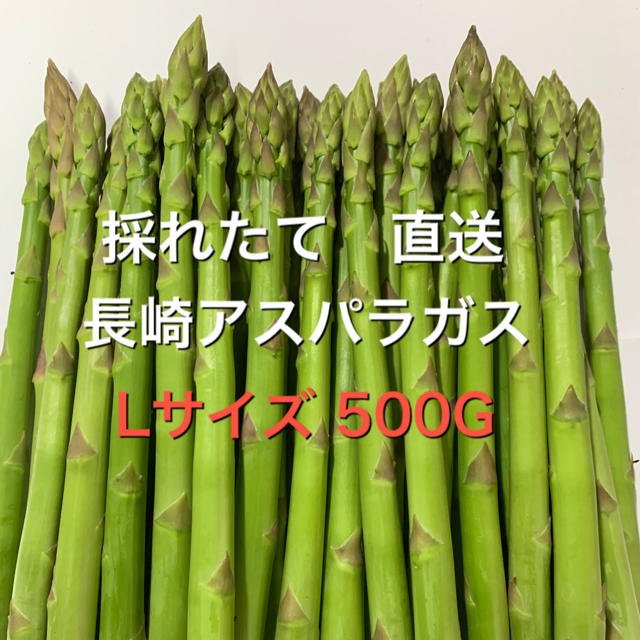 長崎産アスパラガス　Lサイズ 500G 食品/飲料/酒の食品(野菜)の商品写真