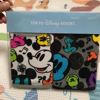 ディズニー(Disney)のディズニーランド スタイ 新品未使用(ベビースタイ/よだれかけ)