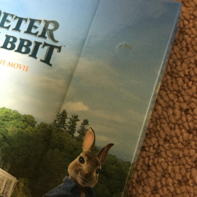 PETER RABBIT see the movie ふせん　ノートブック インテリア/住まい/日用品の文房具(ノート/メモ帳/ふせん)の商品写真