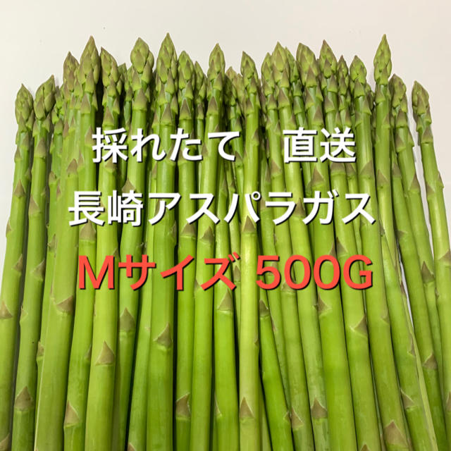 長崎産アスパラガス　Mサイズ 500G 食品/飲料/酒の食品(野菜)の商品写真