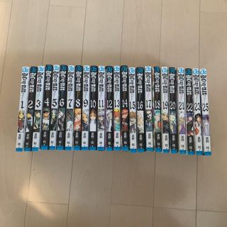 D.Gray‐man 1～23、25巻(少年漫画)