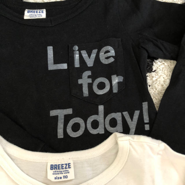 BREEZE(ブリーズ)の長袖Tシャツ110センチ キッズ/ベビー/マタニティのキッズ服男の子用(90cm~)(Tシャツ/カットソー)の商品写真