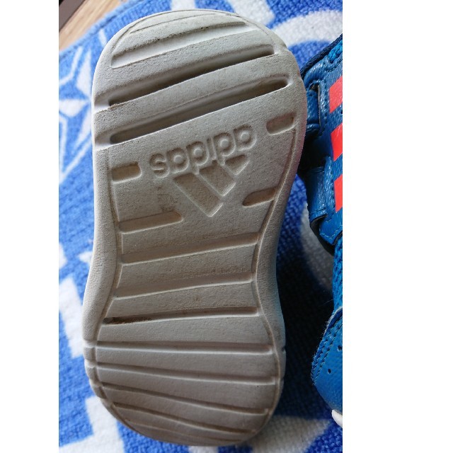 adidas(アディダス)のadidasシューズ 14センチ キッズ/ベビー/マタニティのベビー靴/シューズ(~14cm)(スニーカー)の商品写真