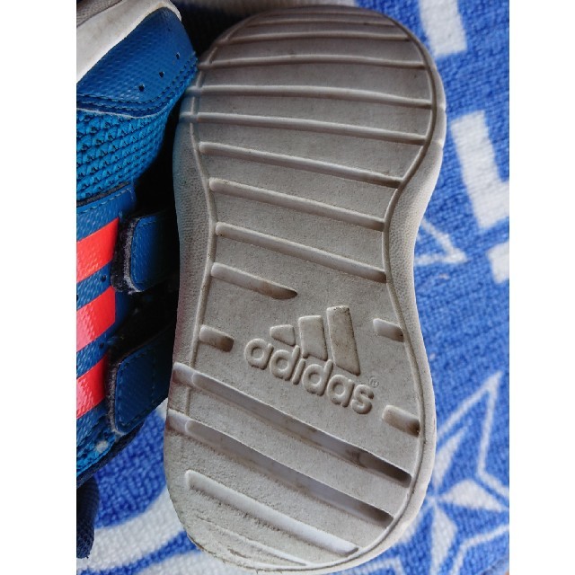 adidas(アディダス)のadidasシューズ 14センチ キッズ/ベビー/マタニティのベビー靴/シューズ(~14cm)(スニーカー)の商品写真