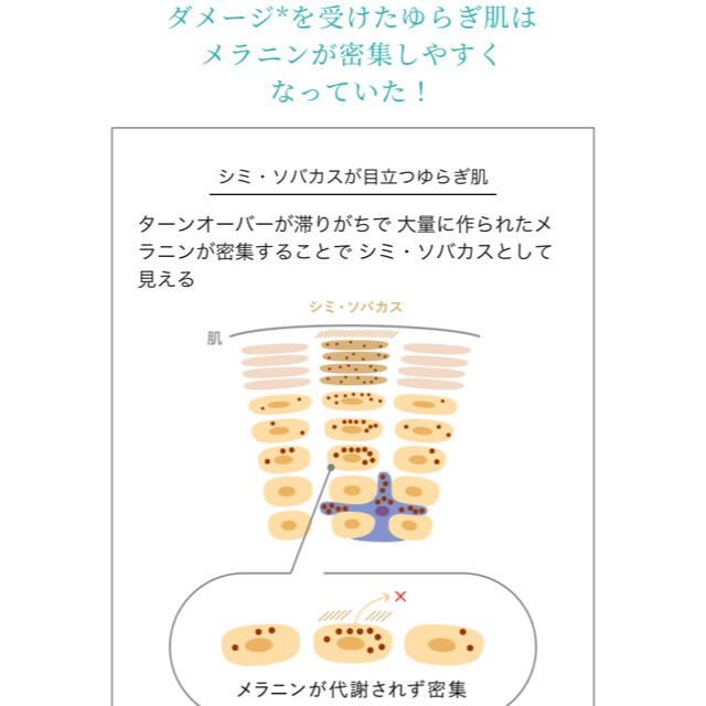 AYURA(アユーラ)のms様専用　ayura ホワイトコンセントレート　美白 コスメ/美容のスキンケア/基礎化粧品(美容液)の商品写真