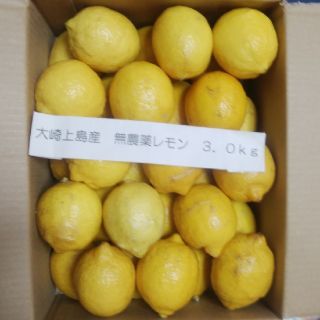 広島県大崎上島産無農薬レモン3.0kg(フルーツ)