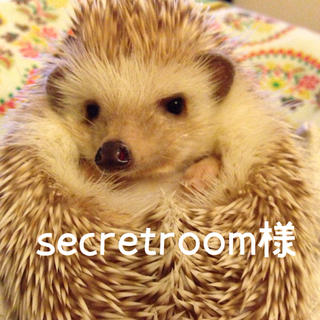 secret room様♡専用出品ページ(小動物)
