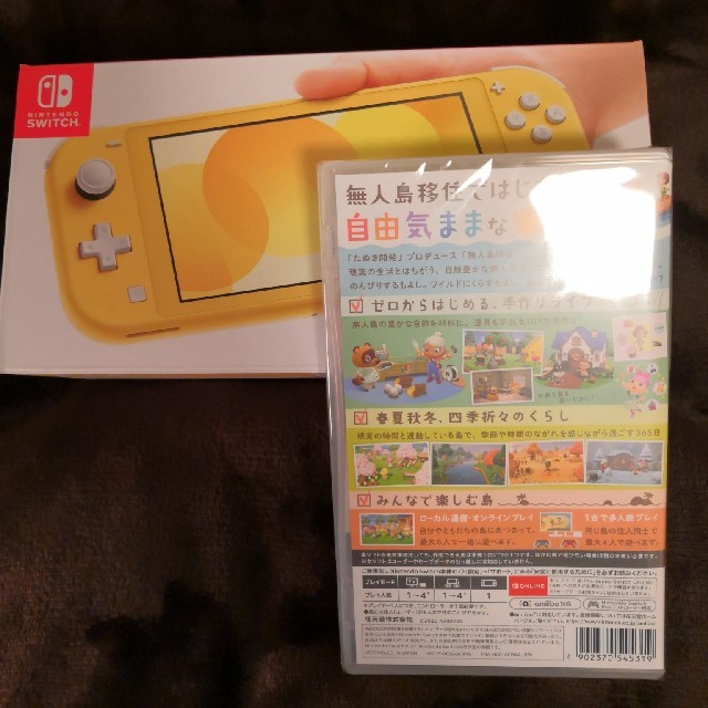 Nintendo Switch  Lite　どうぶつの森セットswitch