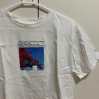 アルシーヴ(archives)のプリントTシャツ(Tシャツ(半袖/袖なし))