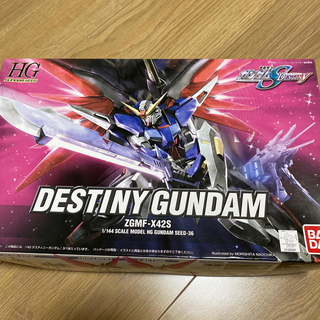 ガンダムシード　DESTINY GUNDAM プラモデル(模型/プラモデル)