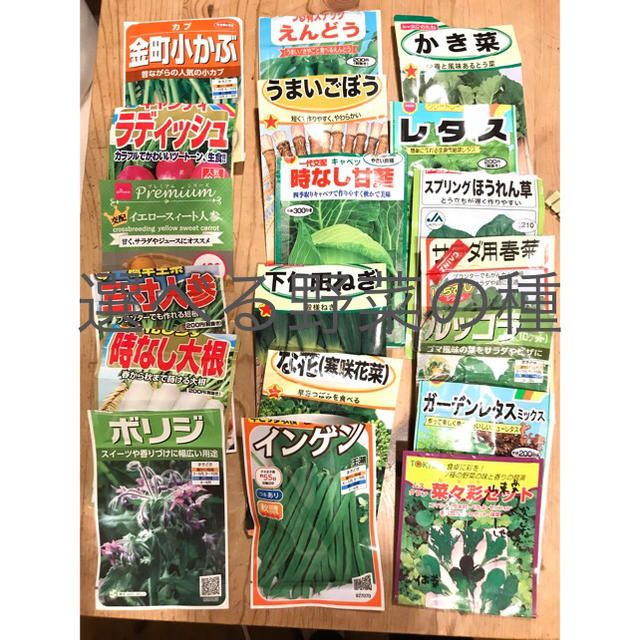 選べる 野菜の種 5種類 食品/飲料/酒の食品(野菜)の商品写真