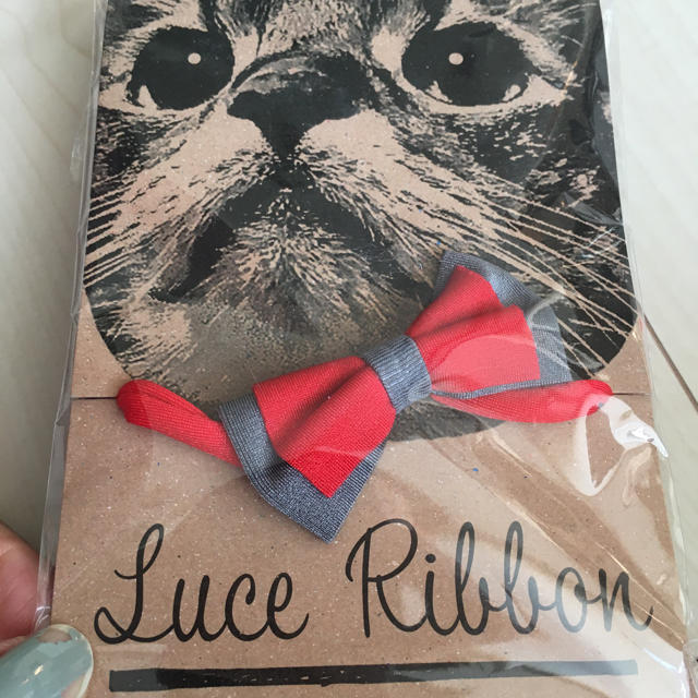 ダニエルさま専用✨ほぼ新品★ Luce Ribbon double 猫 首輪 その他のペット用品(猫)の商品写真