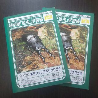 ショウワノート(ショウワノート)の特別展昆虫 学習帳2冊セット(ノート/メモ帳/ふせん)