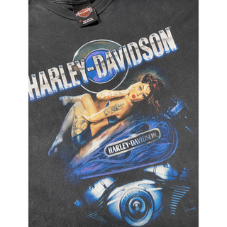 ハーレーダビッドソン(Harley Davidson)のハーレーダビッドソン(Tシャツ/カットソー(半袖/袖なし))